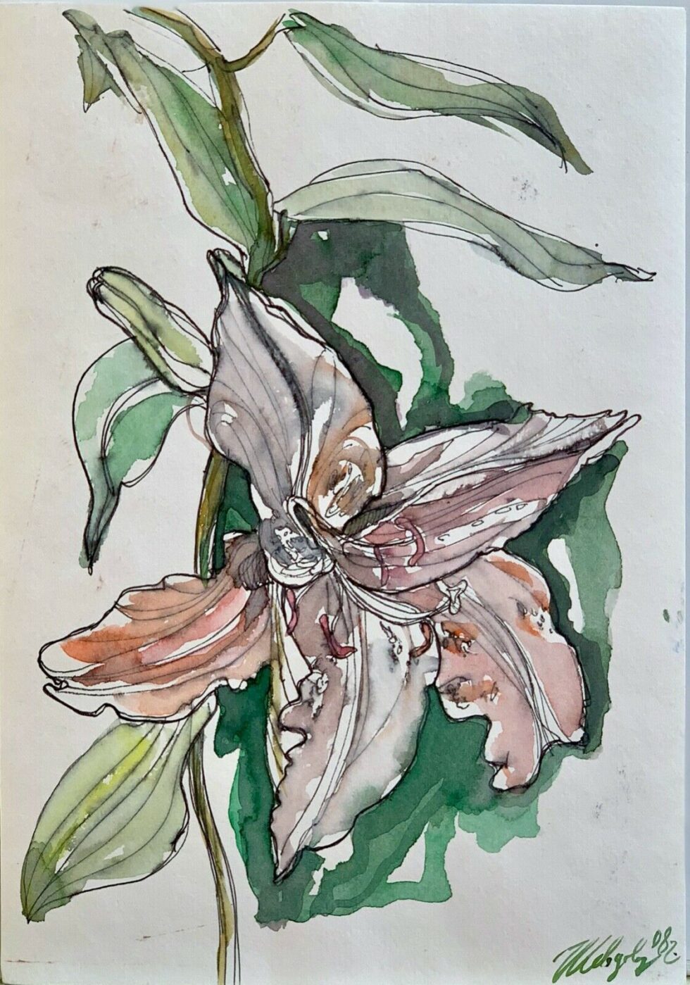 ORIGINAL-Watercolor-painting-on-paper-artwork-SIGNED-flowers-art-lilies-274555948623