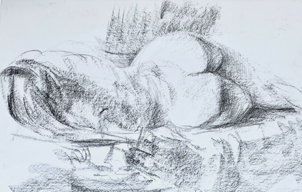 ORIGINAL-pencil-drawing-nude-model-signed-by-artist-sketch-A3-117-x-165-inches-274862019284