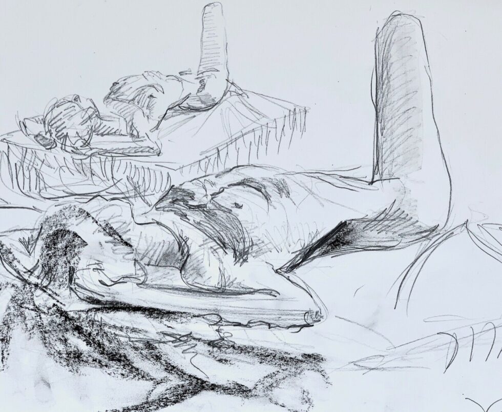 ORIGINAL-pencil-drawing-nude-model-signed-by-artist-sketch-A3-117-x-165-inches-274862017996